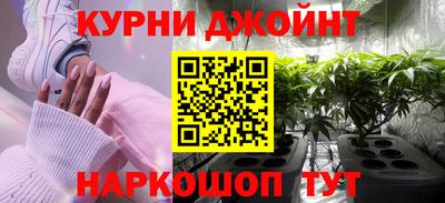 гидра Краснознаменск
