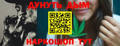 гидра Краснознаменск