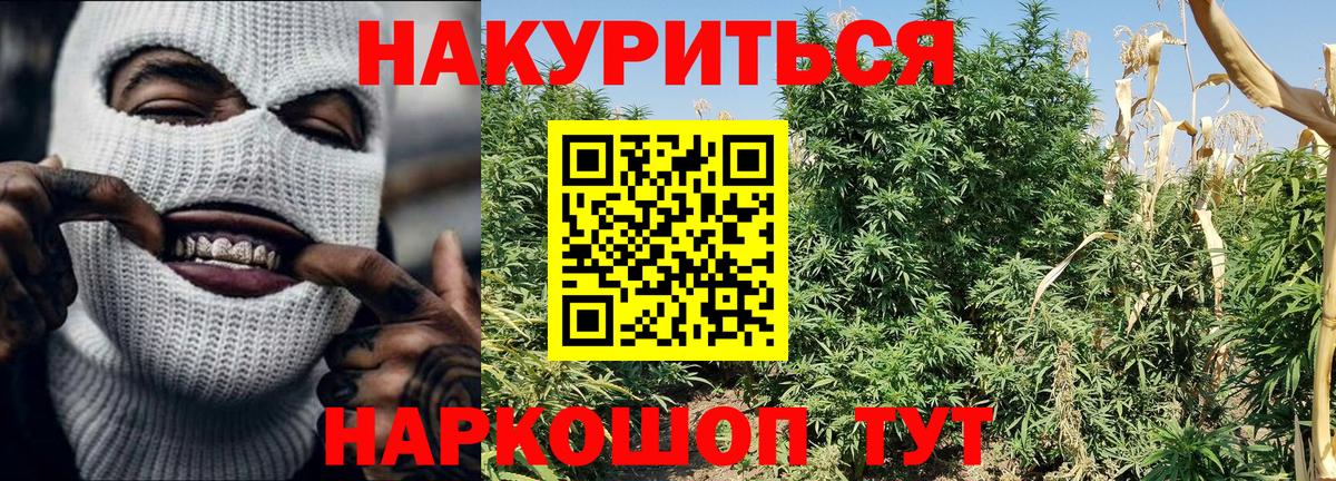 Каннабис SATIVA & INDICA Калуга